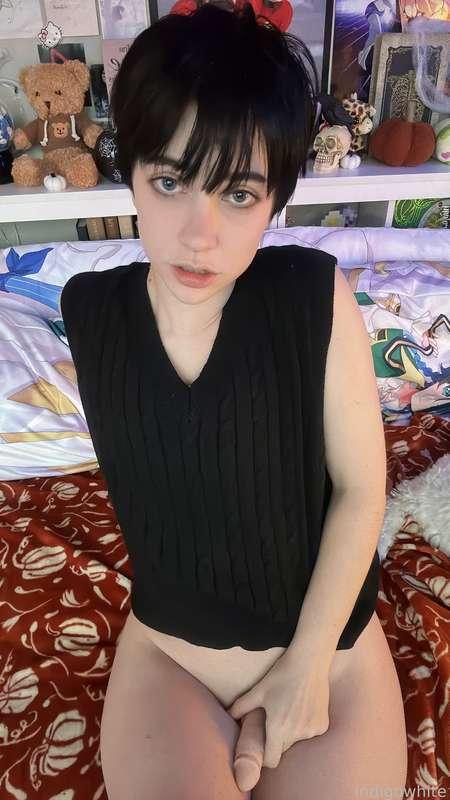 indigowhite image #186