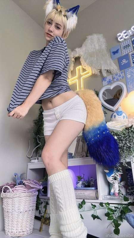 indigowhite image #33