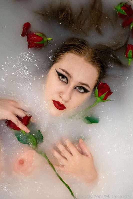 minaharder image #8