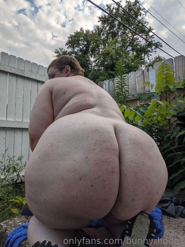 bunnyrhodes image #8