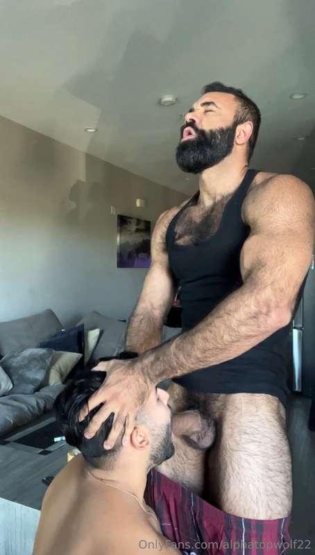 alphatopwolf22 image #4