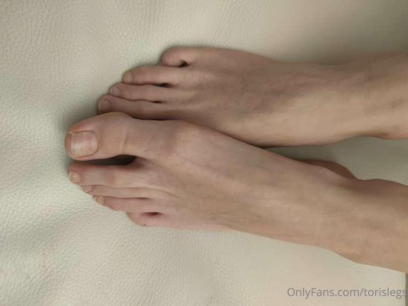 torislegs image #11