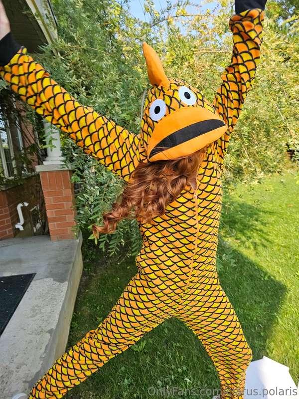 clarus.polaris image #1