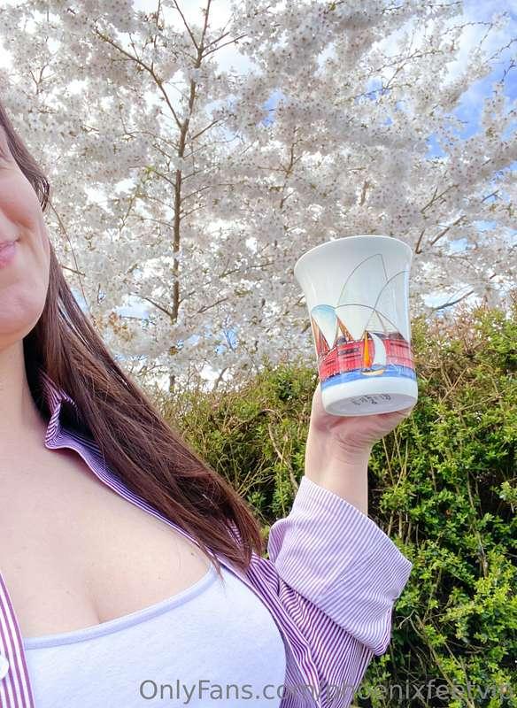 Good morning! Thankful for spring being here for a few days,..