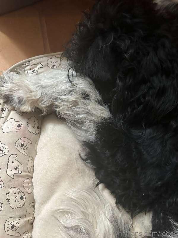 As I got cleaned up - my best friend wouldn’t even look at m..