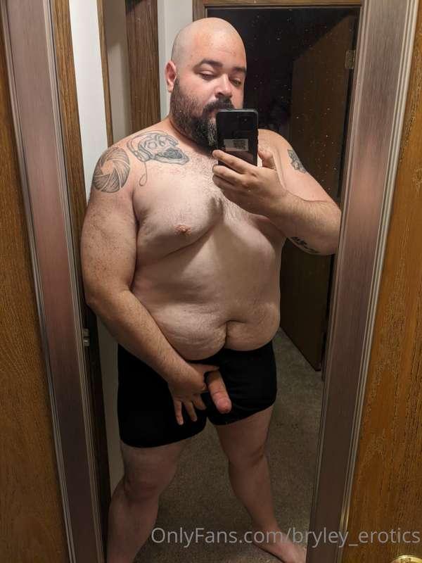bryley_bear image #0