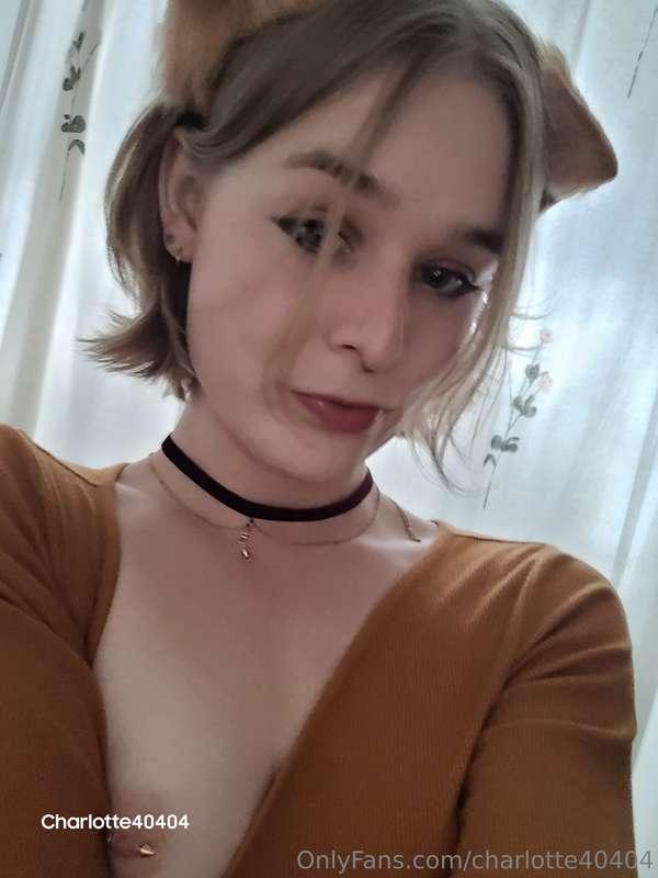 charlotte40404 image #1