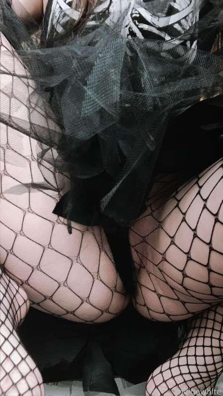 indigowhite image #9