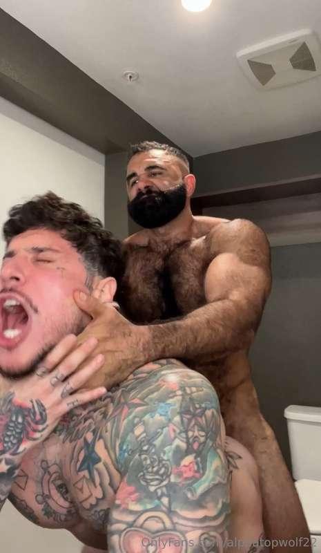 alphatopwolf22 image #32