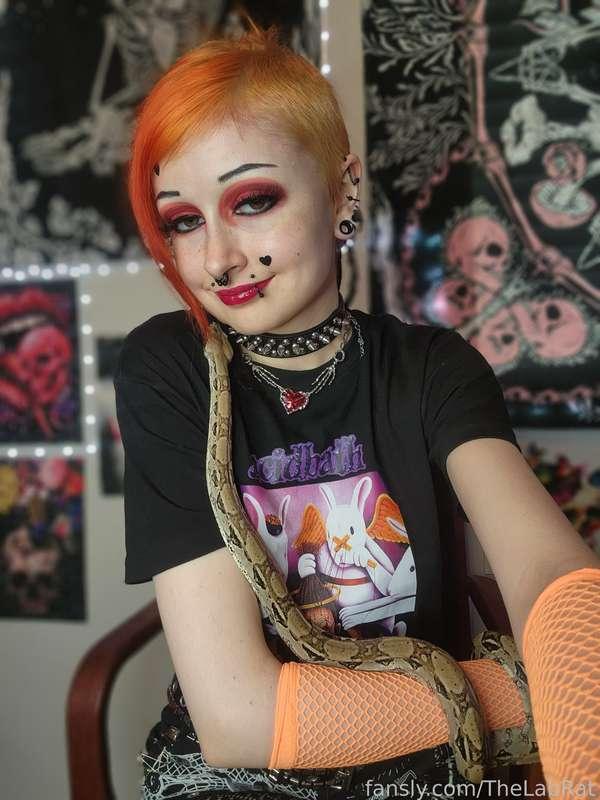 thelabrat image #2
