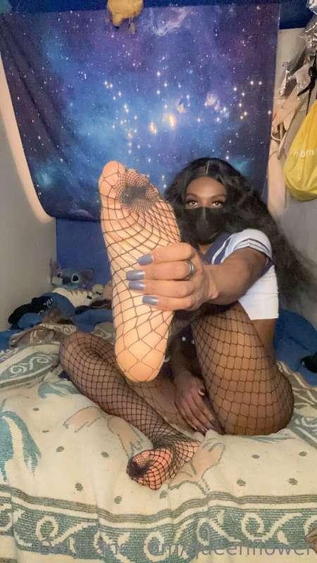 queenflower image #6