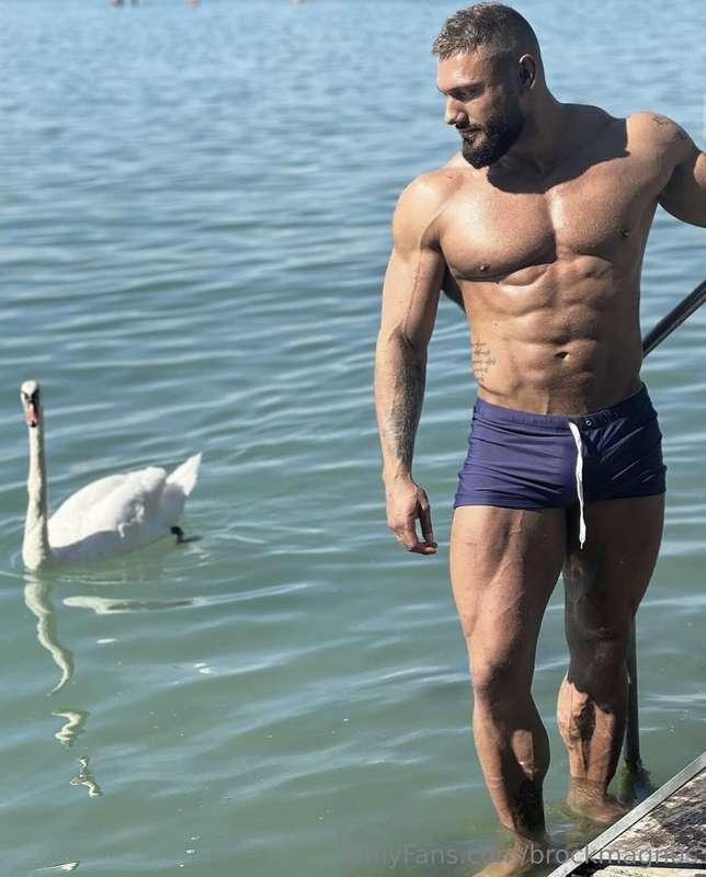 Would you rather push me in for a splash or pull me closer f..