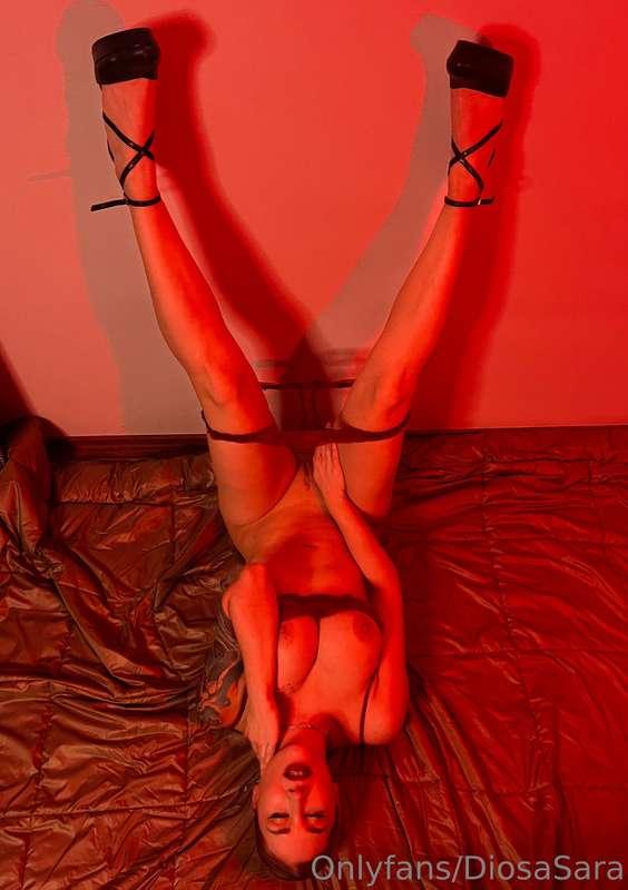 diosasara main image