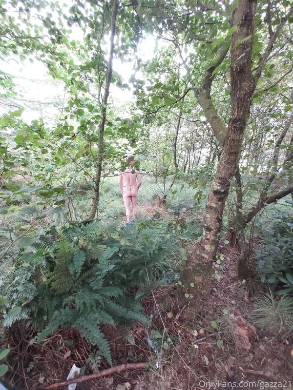 Stroll in the woods 😜