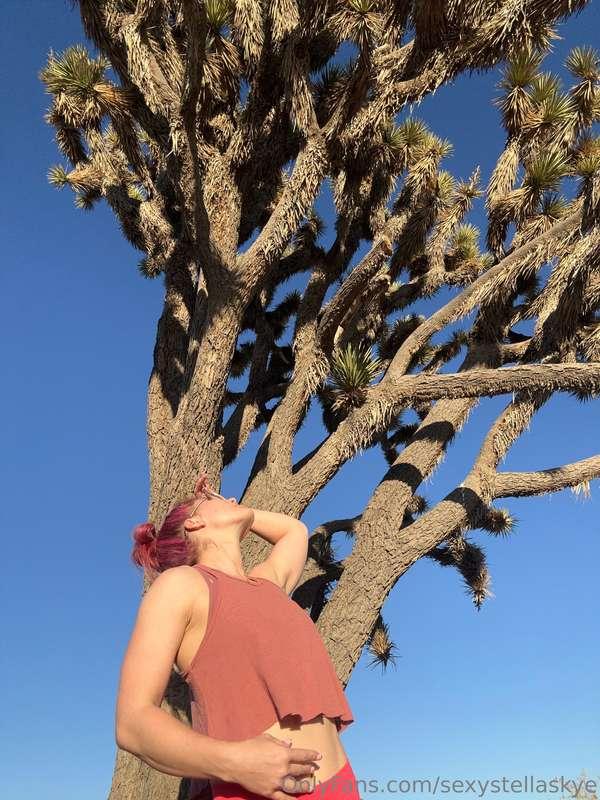 I’m back! What a fun wedding trip this weekend 🥰💕 it’s so cu..