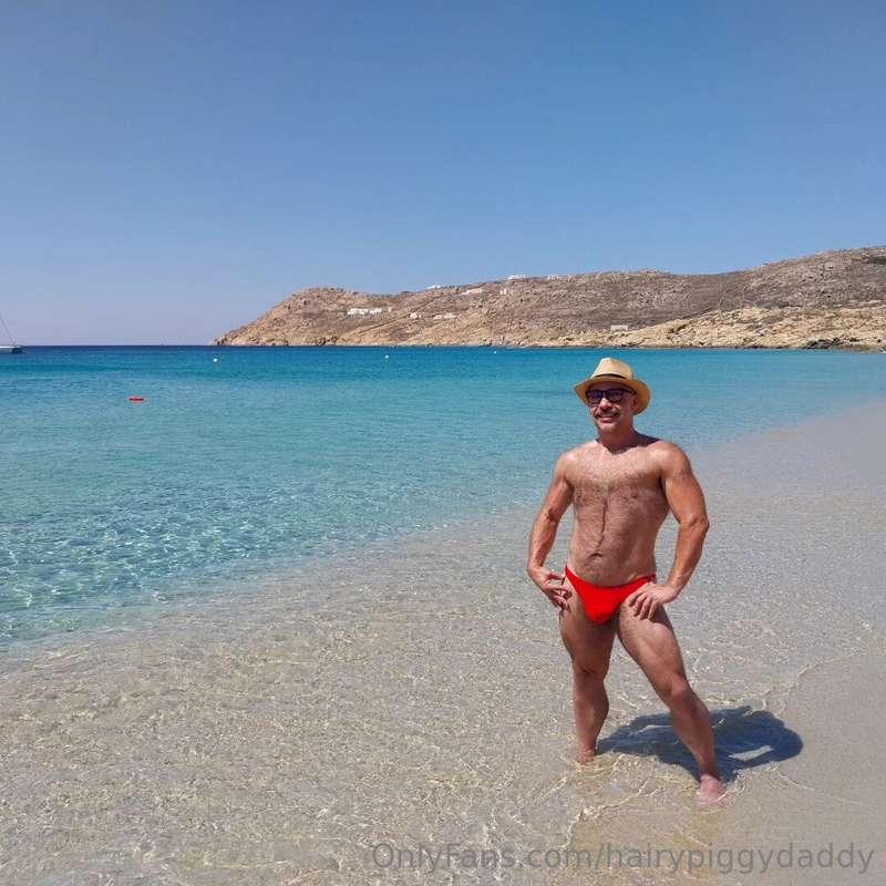 hairypiggydaddy image #0