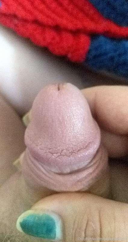 taylordreamz image #1