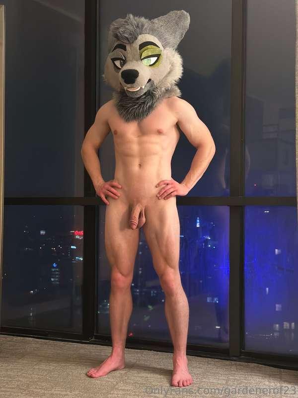 Took a couple model pics on the last night of fwa