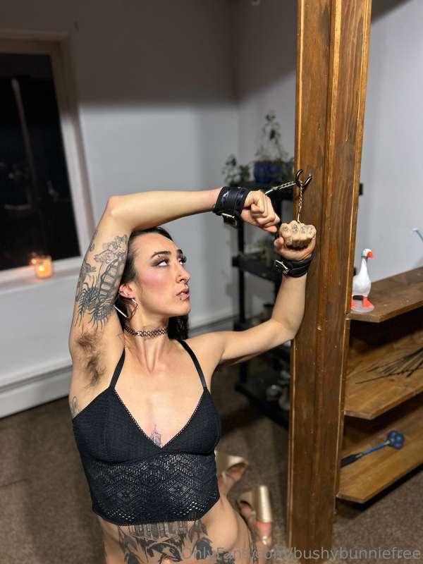 bushybunniefree image #0