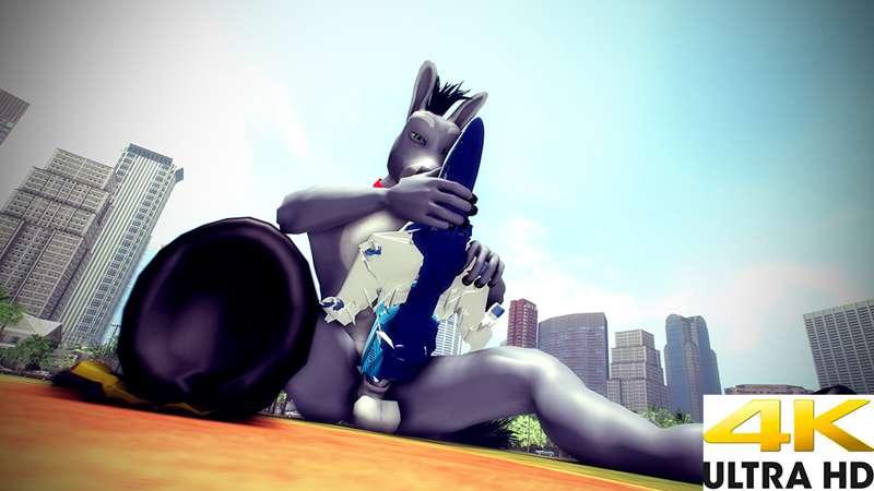 Donkey Fun 4K