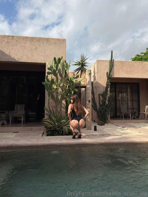 sasha_araki_vip image #0