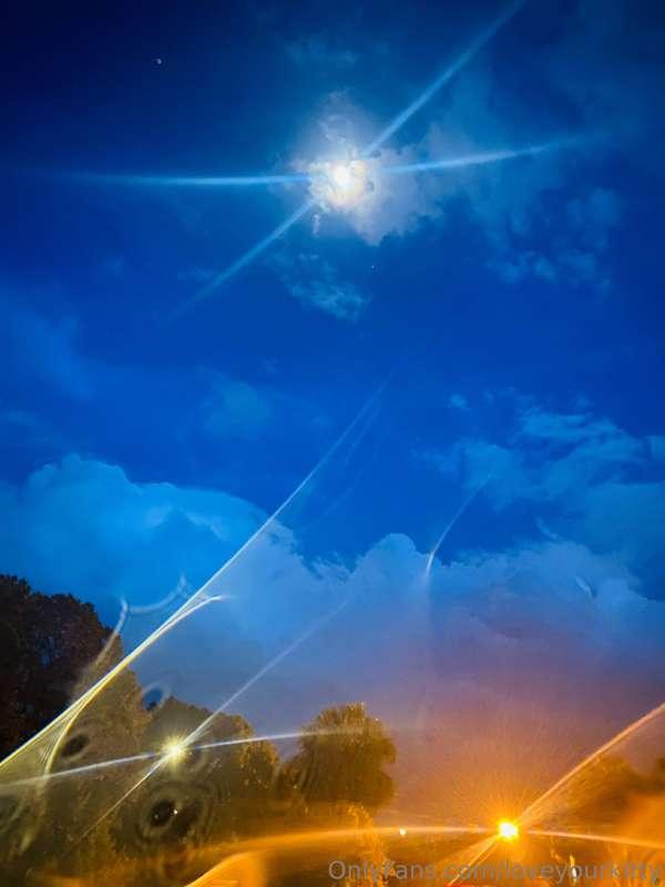 loveyourkitty image #7