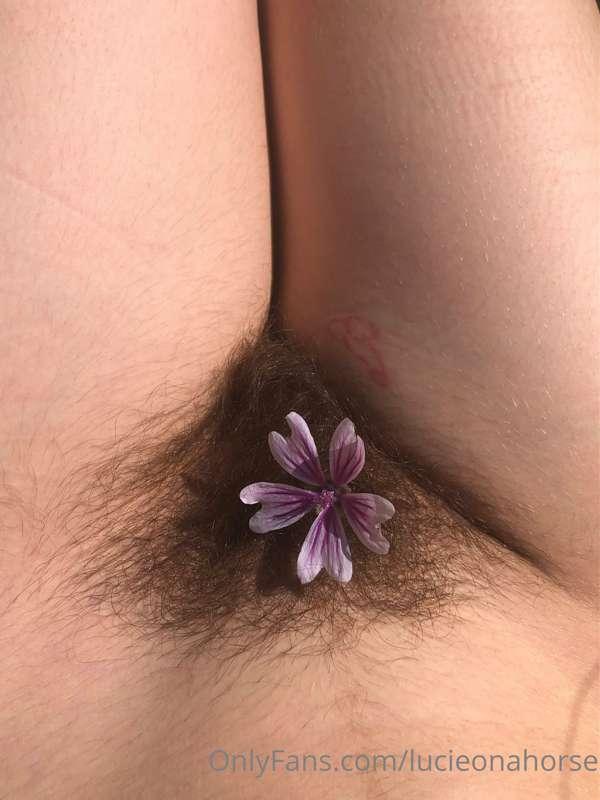 lucieoda image #2