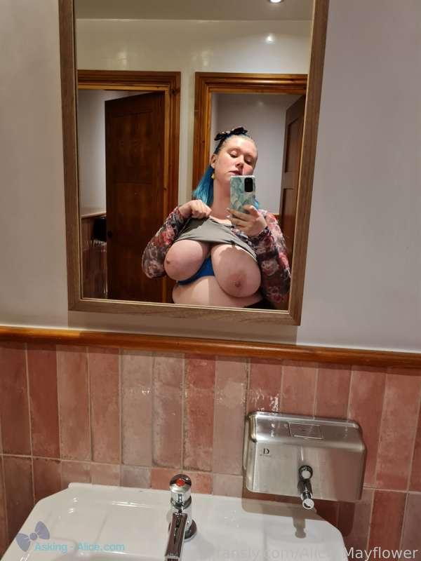 alice_mayflower image #2