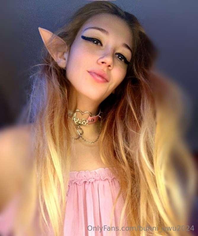 bunni_uwu2024 image #0
