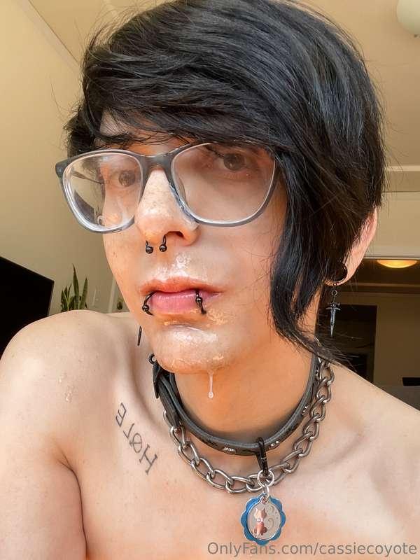 cassiecoyote image #2