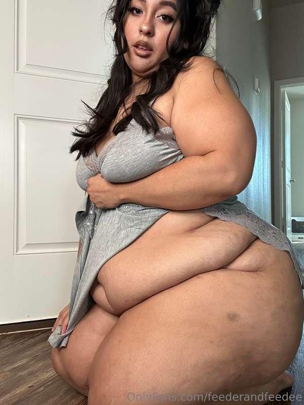 feederandfeedee image #0