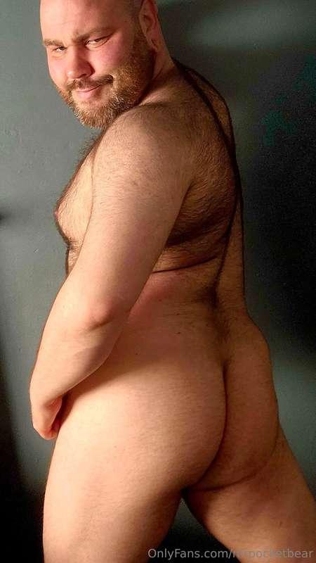 mrpocketbear image #6