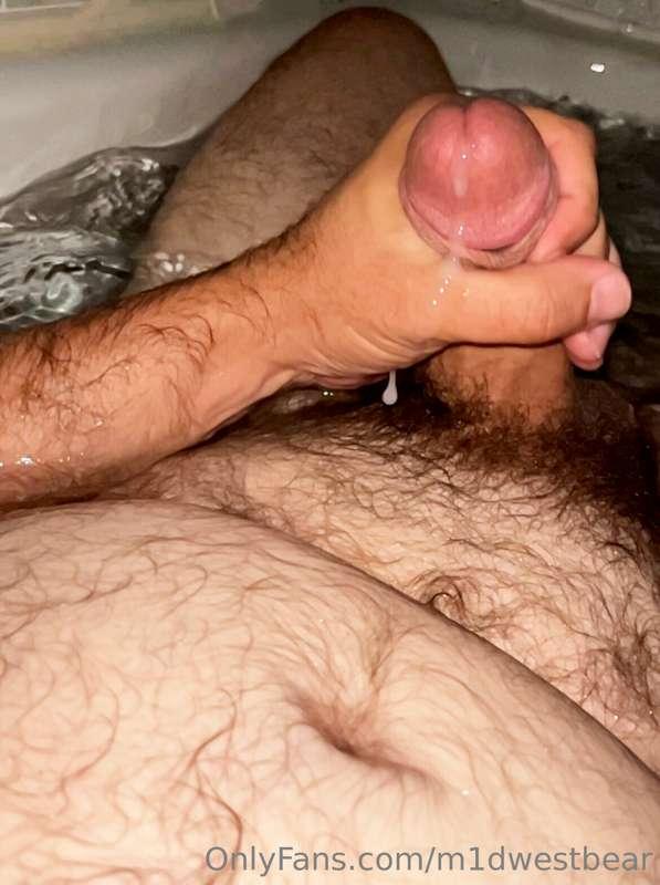 m1dwestbear image #2