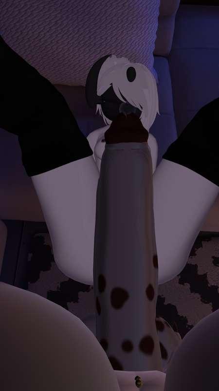 hakaivr image #1