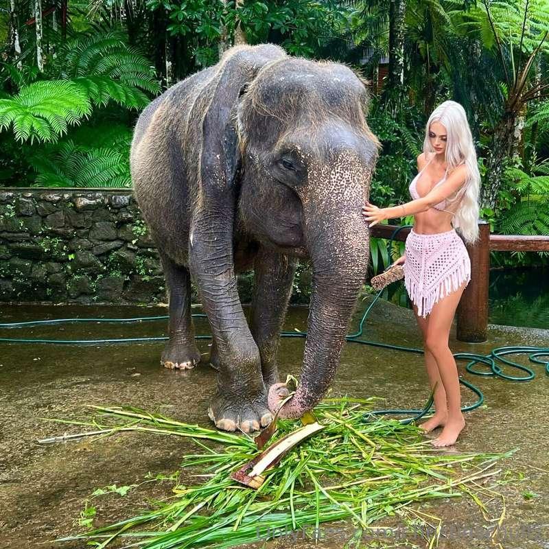 “ Nature's great masterpiece, an elephant ― the only harmles..