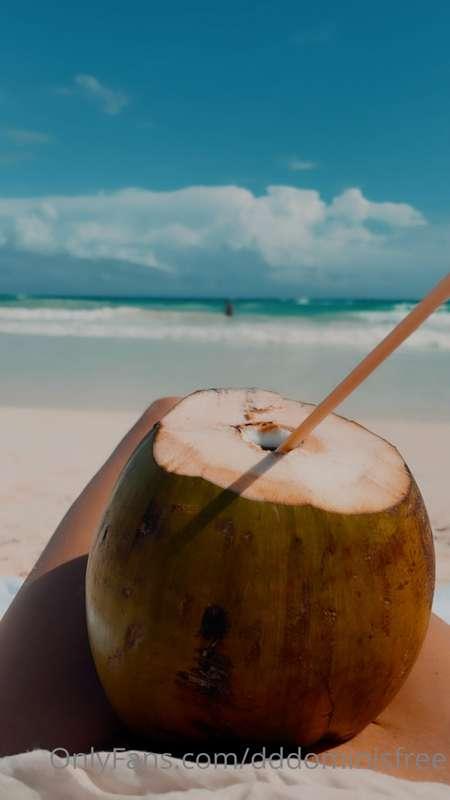 Should I remove this coconut 🥥?