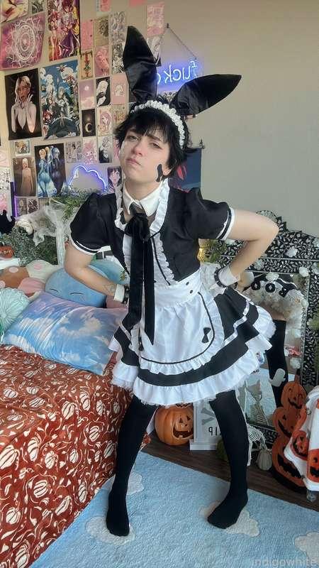 indigowhite image #76