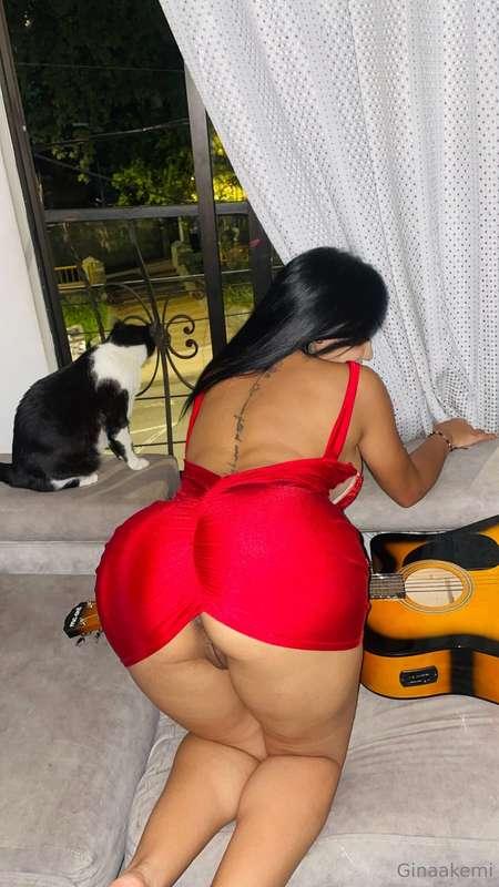 ginaakemi image #2