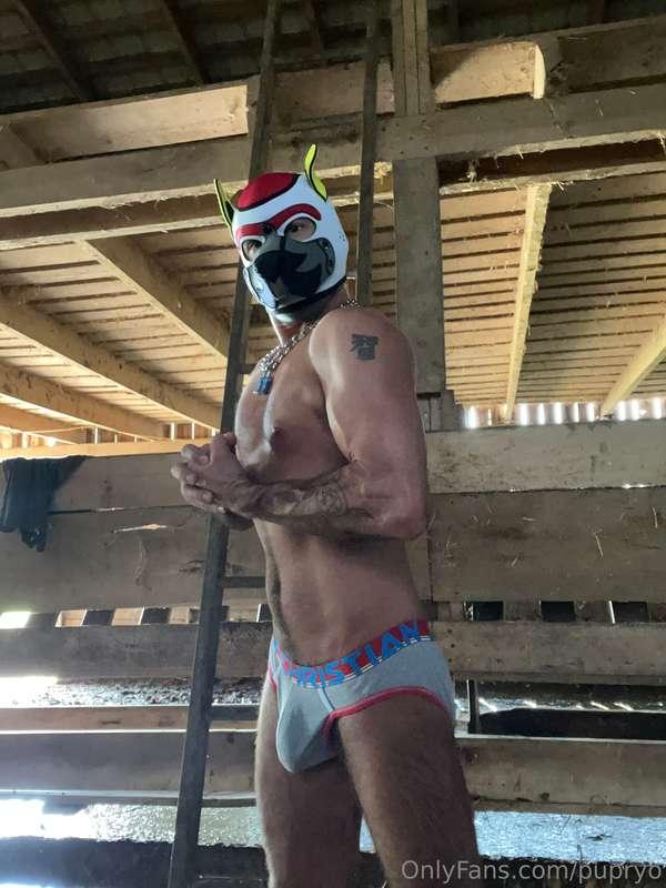 Just a farm pup doing farm pup things 
