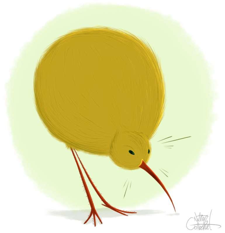 Birb