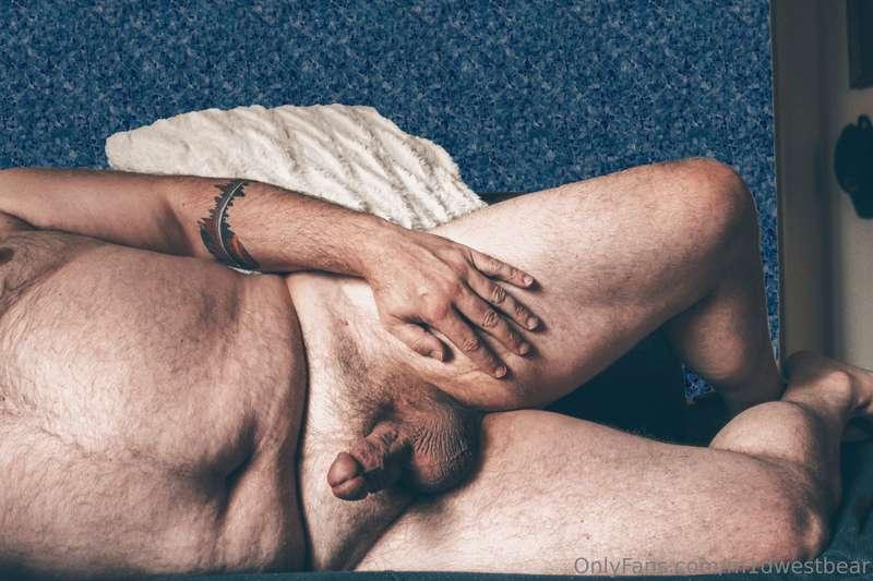 m1dwestbear image #4