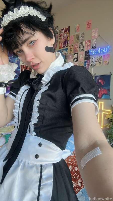 indigowhite image #2