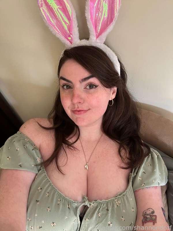 shannondorf image #4