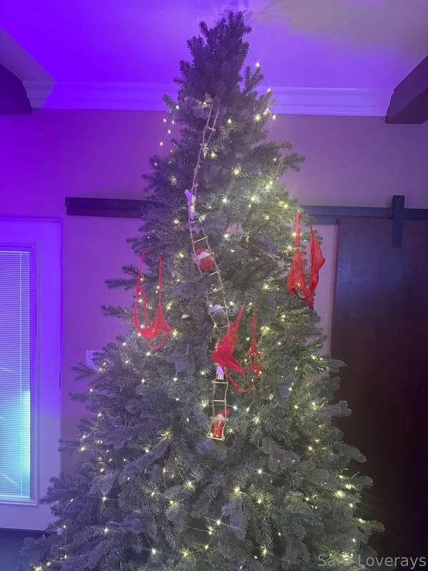 Do you like our holiday ornaments? And how cute are these Po..