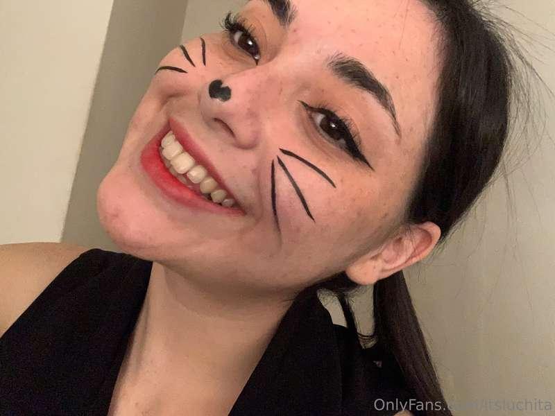 Les pareció haber visto un lindo gatito? 🐈‍⬛ Especial de Hal..