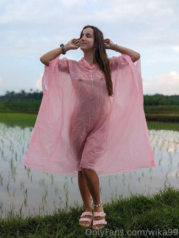 wika99 image #2