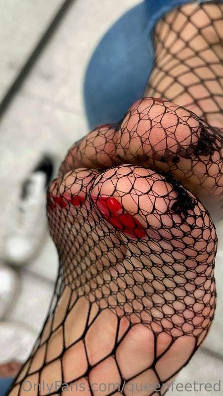Fishnet day