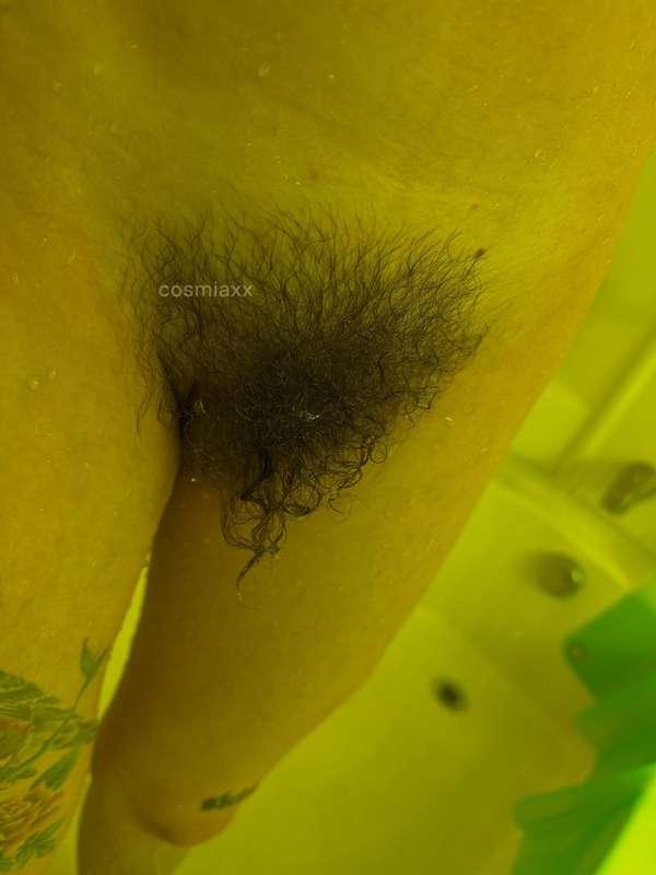 cosmia image #0