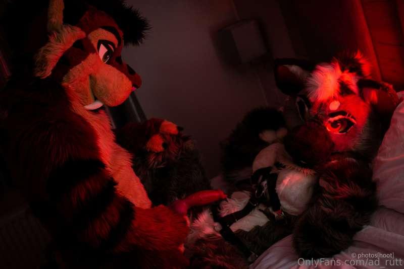 ad_rutt image #2