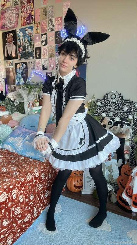indigowhite image #68